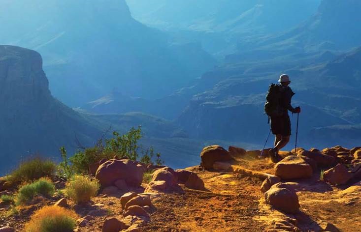 2010 Arizona Civic Health Index