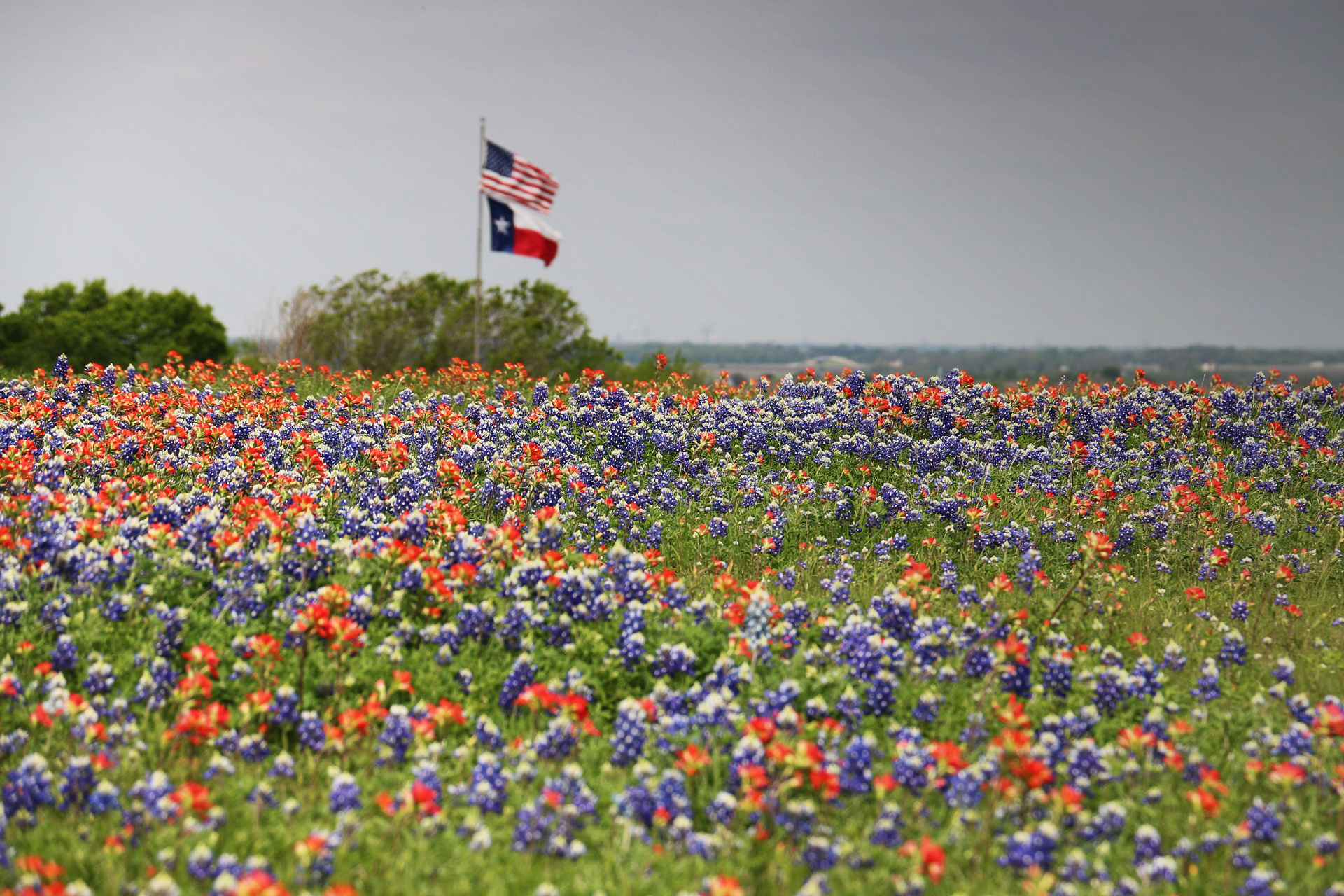 2018 Texas Civic Health Index
